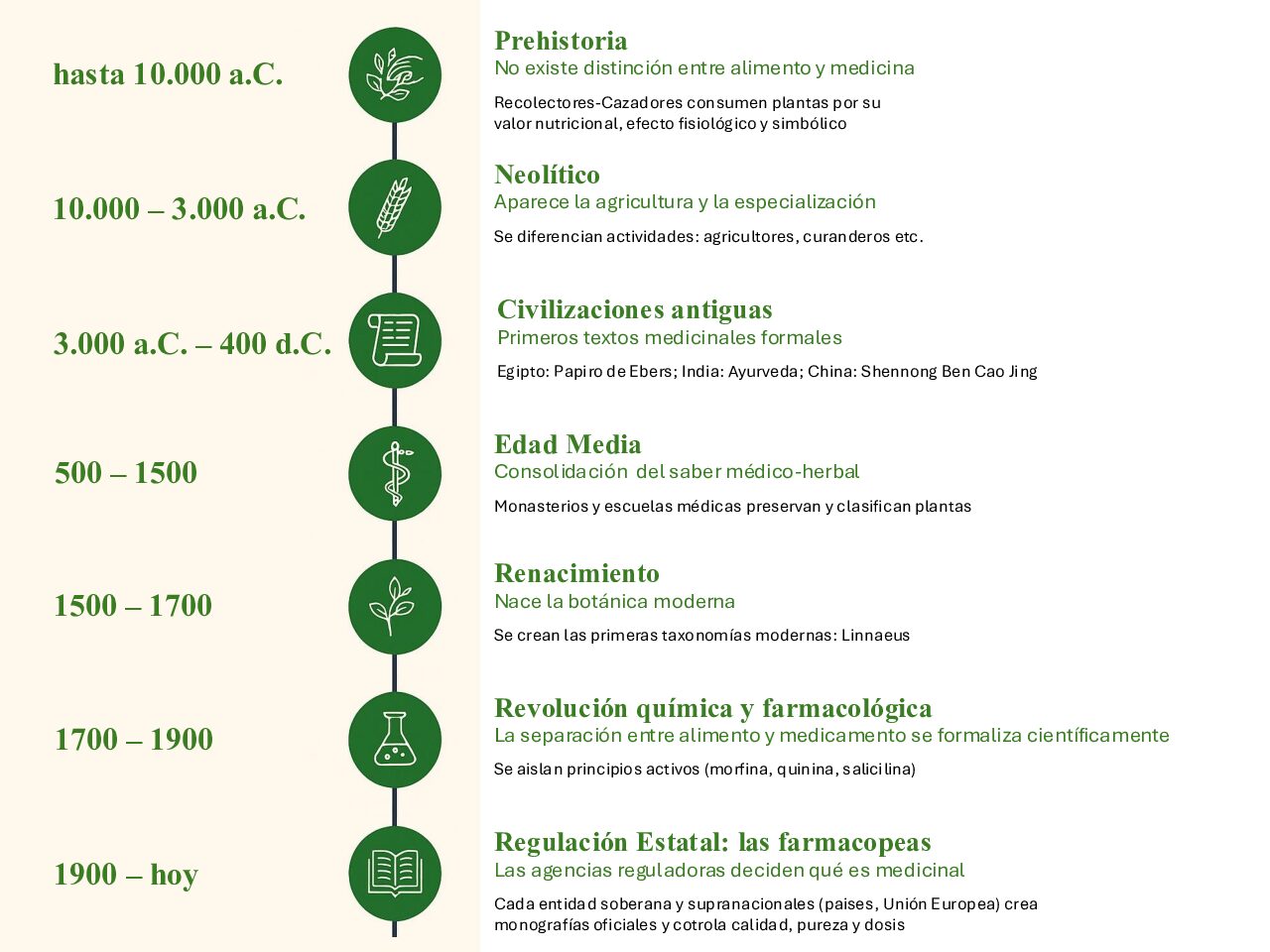 Infografia Plantas Medicinales Pdf