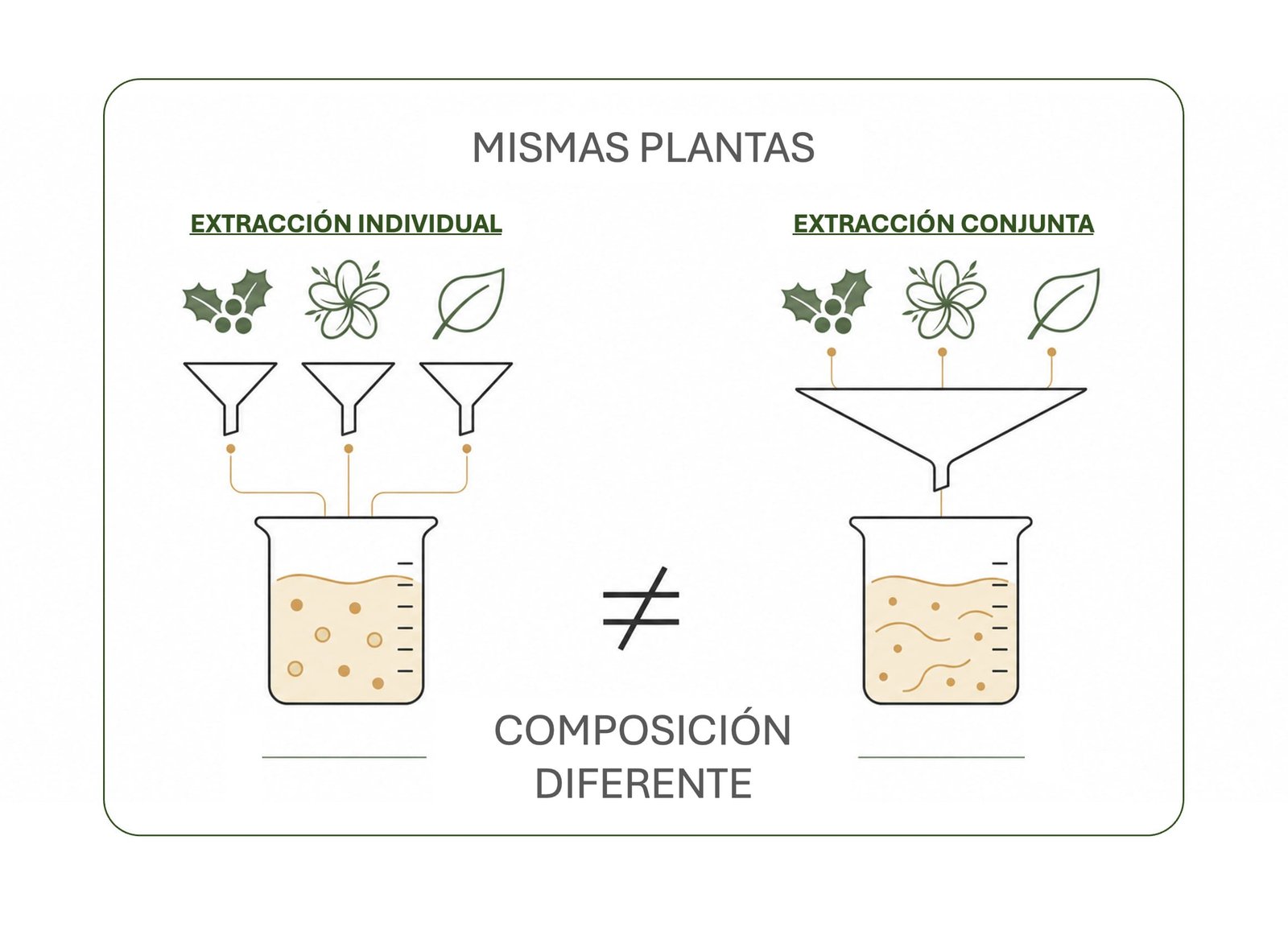 dos extractos